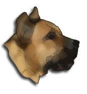PRESA CANARIO DATABASE