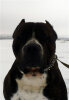 ROBINZON