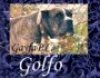 GOLFO*