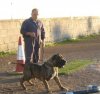 SOLDADO PERRO PRESA BECERRIL OF RUCADEN