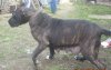 ARLA