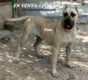 TANA DE CASA DEL PRESA