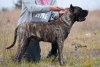 ULTIMATE SELECTION VULMARO