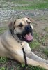ZAX FUERTO CANARIO
