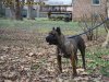 CONFIANZA DE TIGHTLINE (JADA)