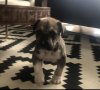 H’ SULTAN DE KING ZULU