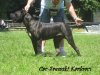 AGAMEMNON