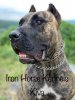 KIVA DE IRONHORSE