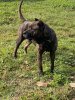 NALA DE IREMA CURTO