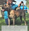 BRAVO KENNEL’S BINKI