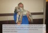 BRAVO KENNEL’S POPITO