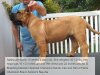 BRAVO KENNEL’S SASHA