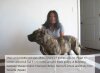 BRAVO KENNEL’S MALO