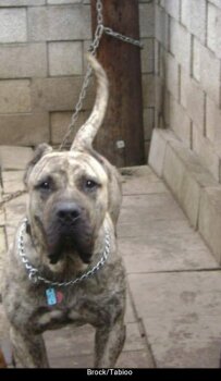 GHOST DE OUTCAST