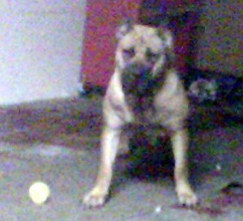 REYNA (9 TO 5)