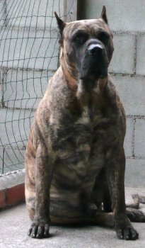 SAR DEL CALABAZO