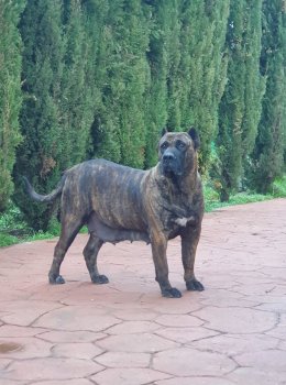 GUATIZA DEL CALABAZO