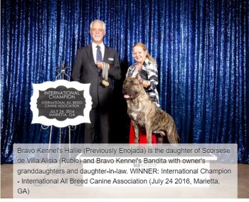 BRAVO KENNEL’S ENOJADA