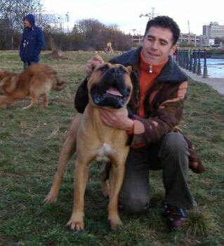 PERROS CANARIOS OROS CARLOS