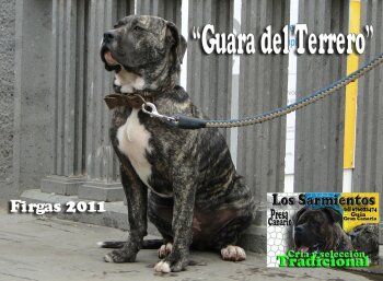 GUARA DEL TERRERO